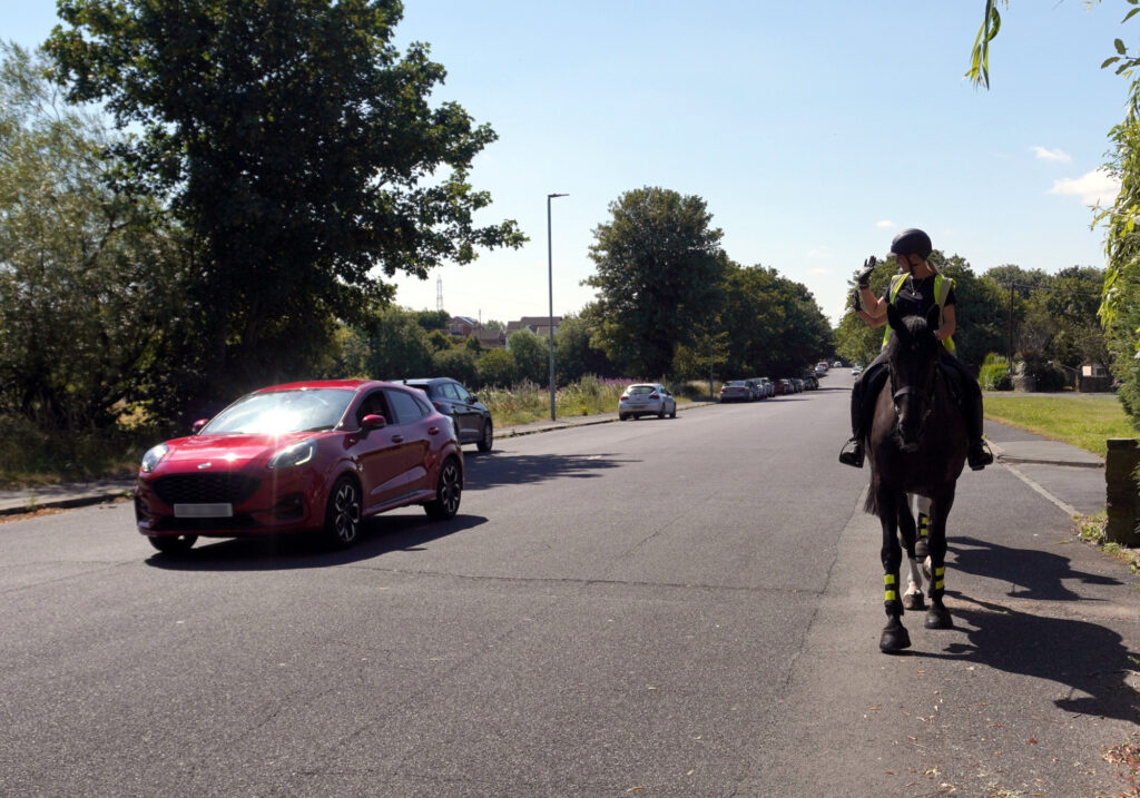 Drivers passing horses safely