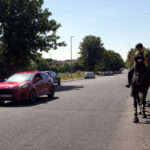 Drivers passing horses safely