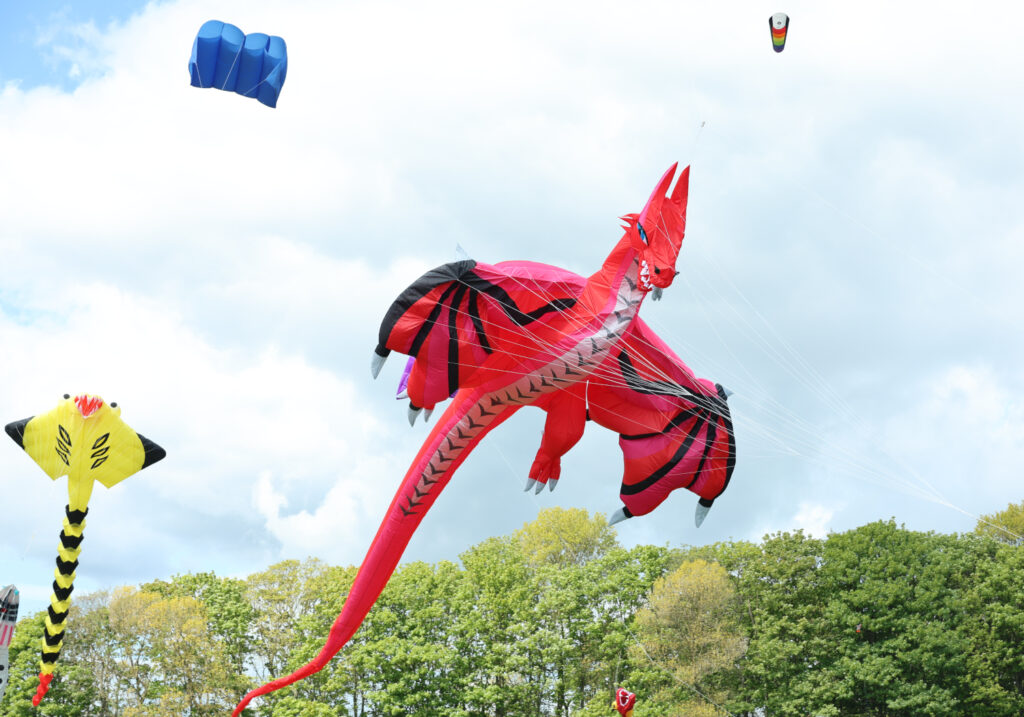 Lotherton Hall Kite Festival