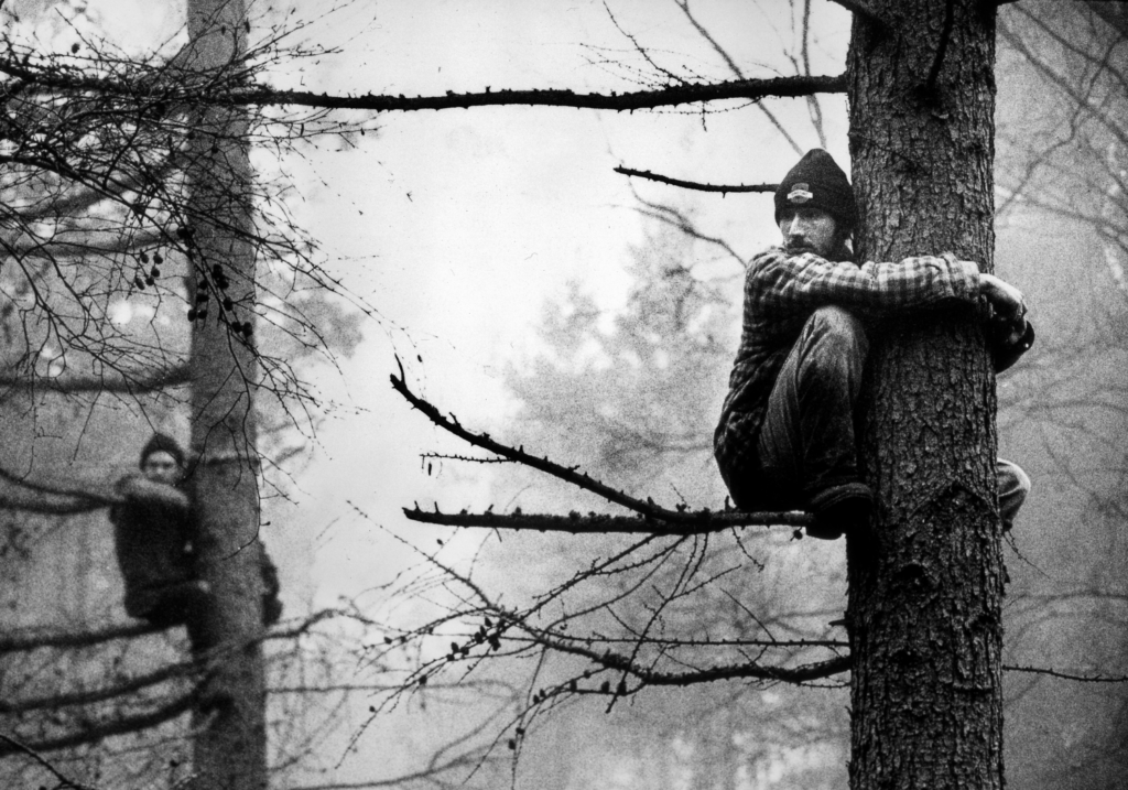 Protesters against the construction of the Newbury bypass occupy trees to prevent their destruction, Berkshire, 1996 © Andrew Testa
