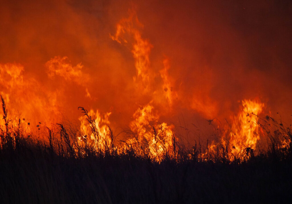 wildfires