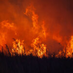 wildfires