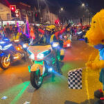 Goldwing Light Parade