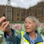 Carole Bloom